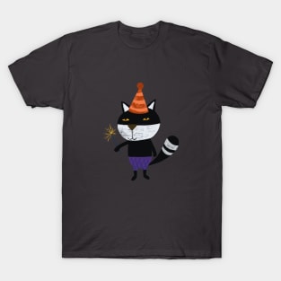 Birthday cat T-Shirt